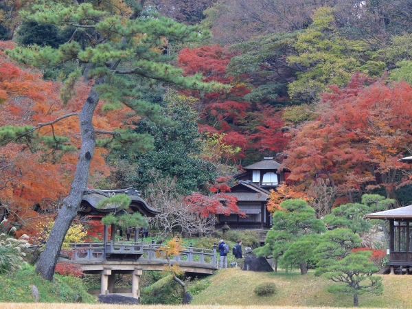 紅葉の内苑