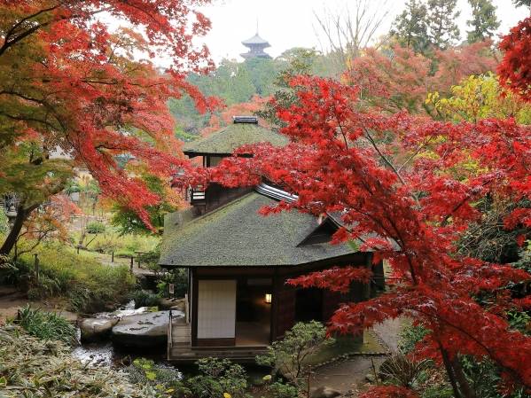 紅葉の遊歩道（聴秋閣と三重塔）