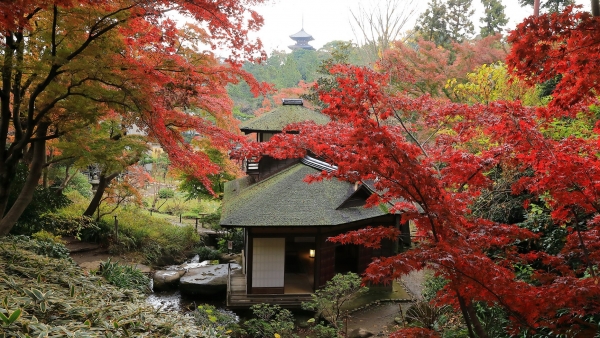 紅葉の遊歩道