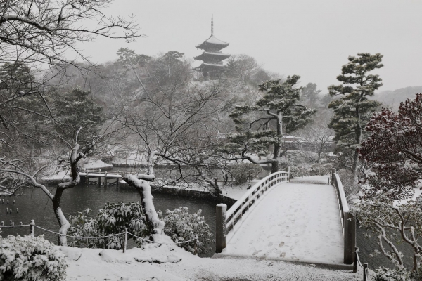 雪の外苑