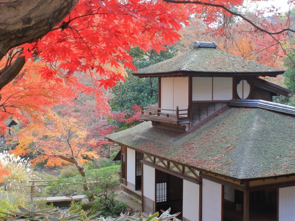 紅葉の遊歩道