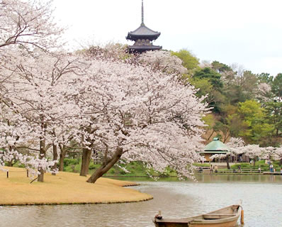 日本庭園