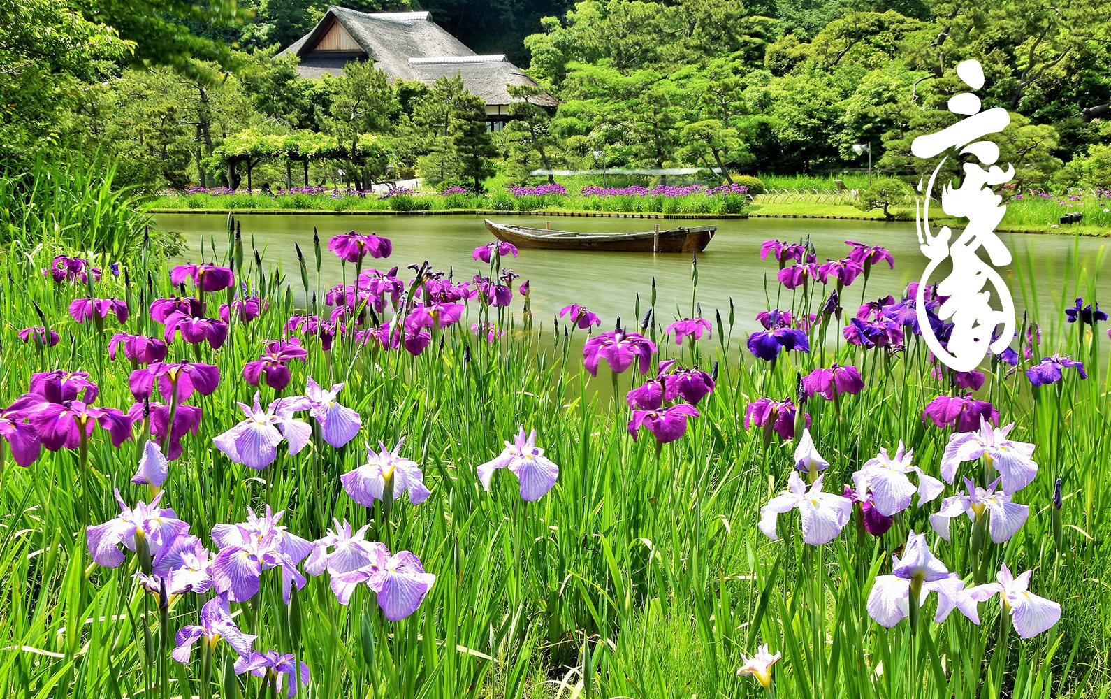 三溪園の写真