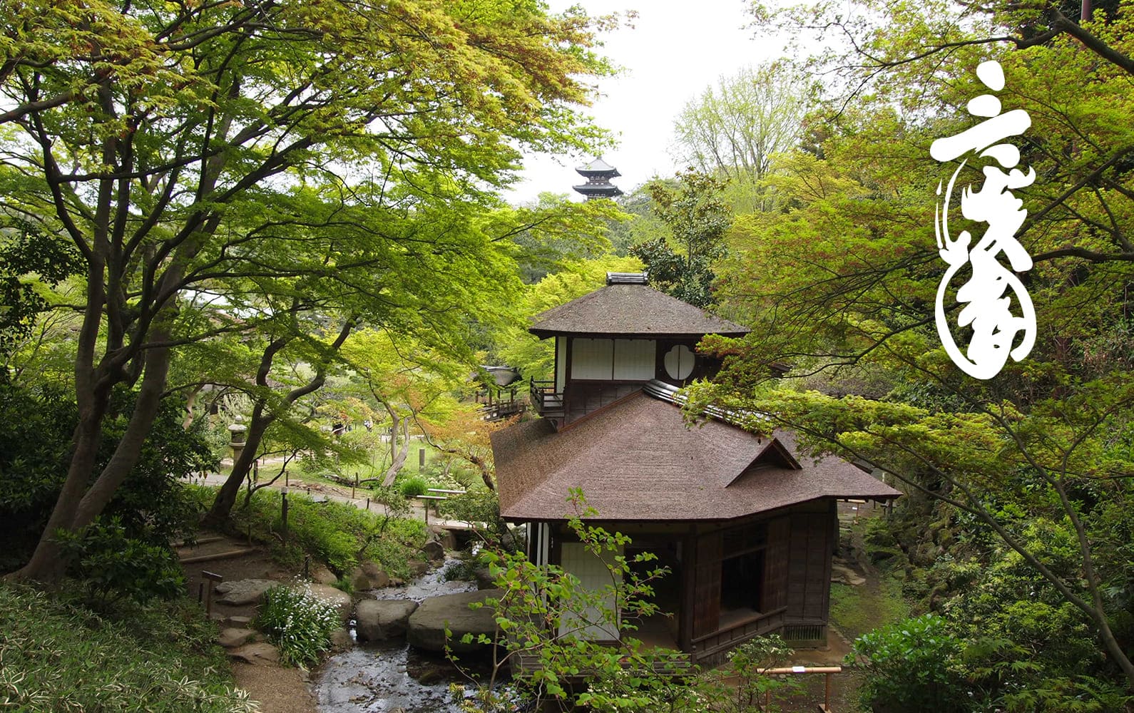 三溪園の写真