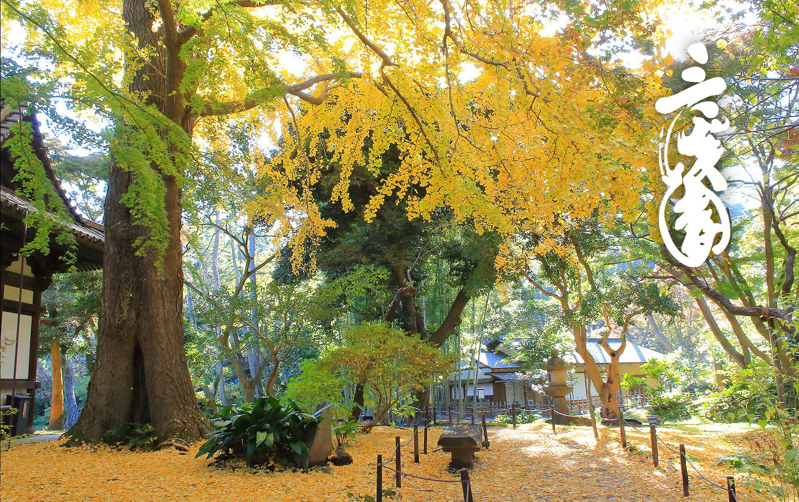 三溪園の写真
