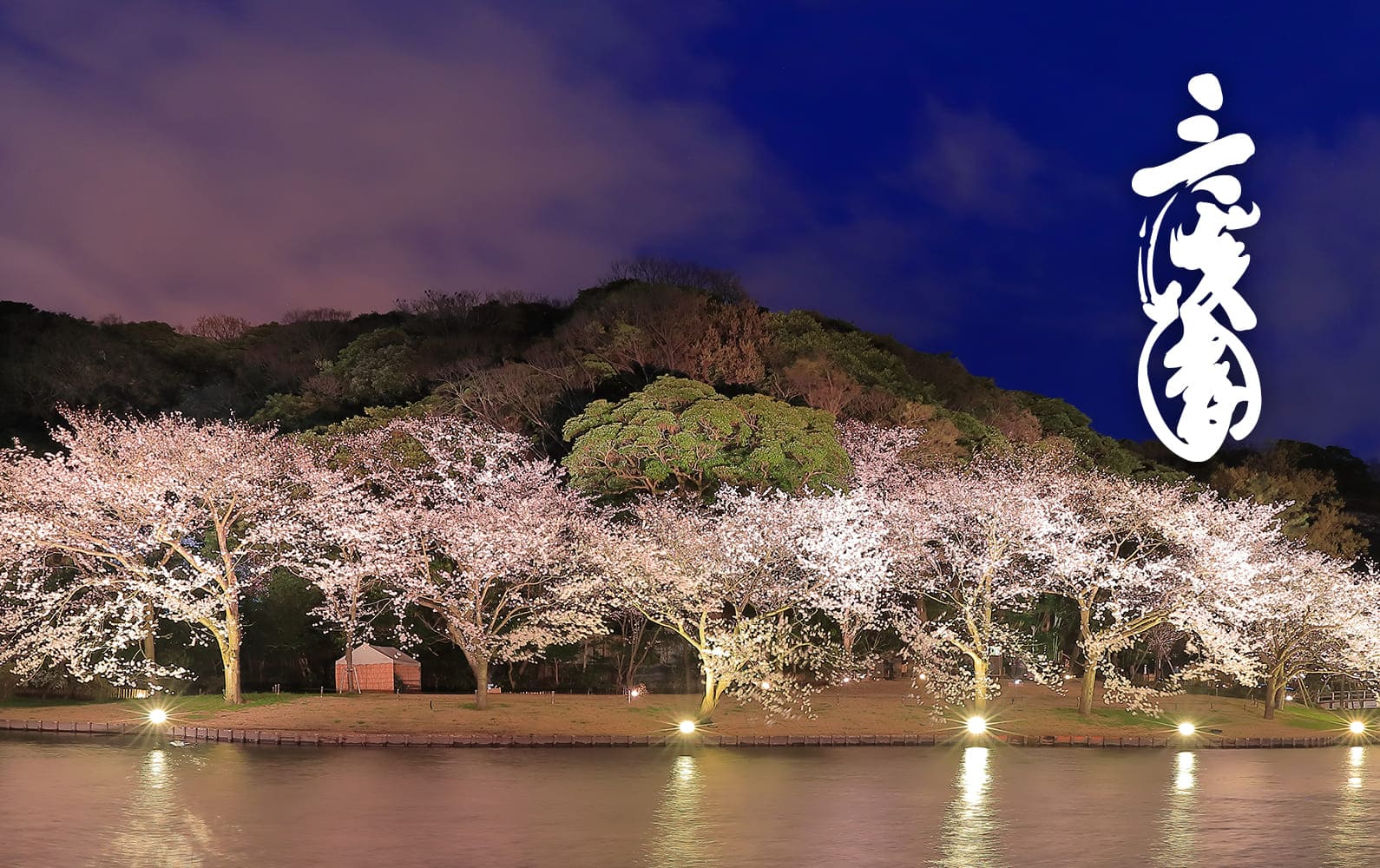 三溪園の写真