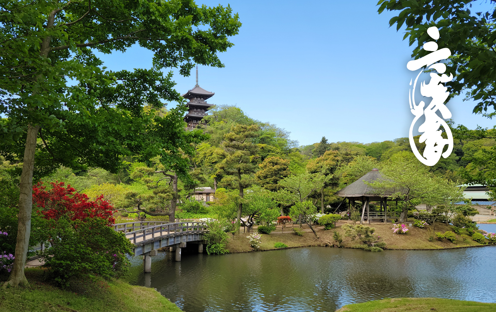 三溪園の写真