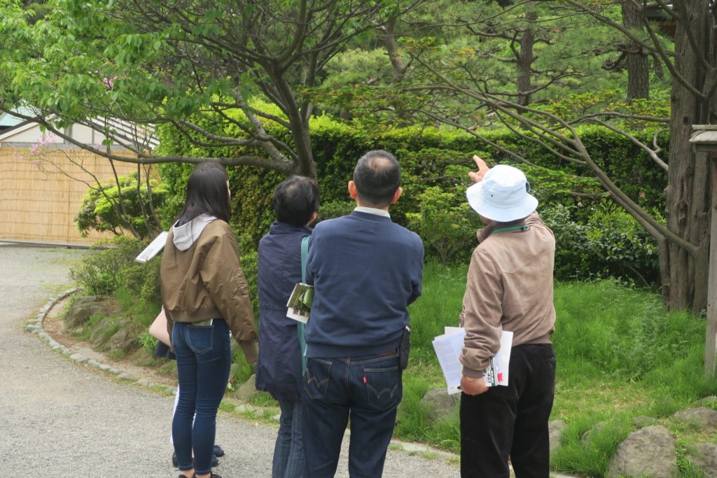 新緑の自然観察会