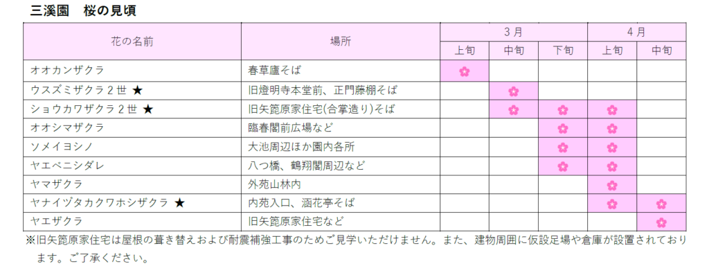 横浜・三溪園の桜情報